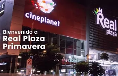 Visionarea - Real Plaza People Counting
